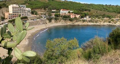 Soothing 4-bedroom villa in Banyuls-sur-Mer with WiFi, AC