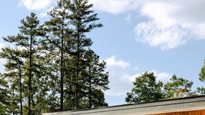 A modern outdoor pool area with lounge chairs, a wooden deck, and a building with large windows. - Luxury Container | Retreat In Bloom • Pool • Sauna (Young Harris)