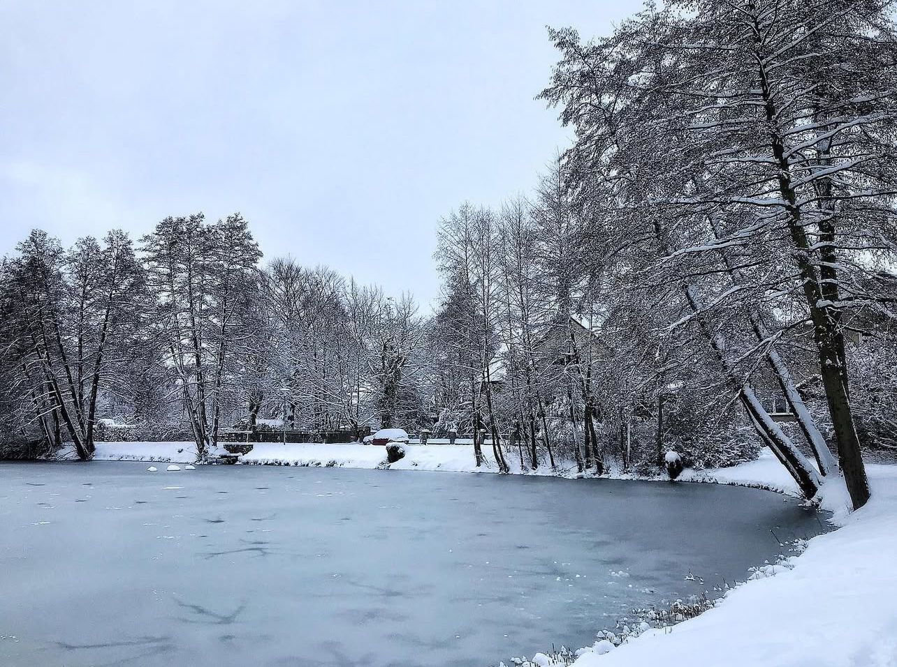 Un lago congelado rodeado de árboles cubiertos de nieve.