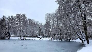 Un lago congelado rodeado de árboles cubiertos de nieve.