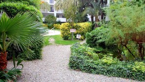 Un camí que condueix a un edifici envoltat de vegetació exuberància i palmeres.