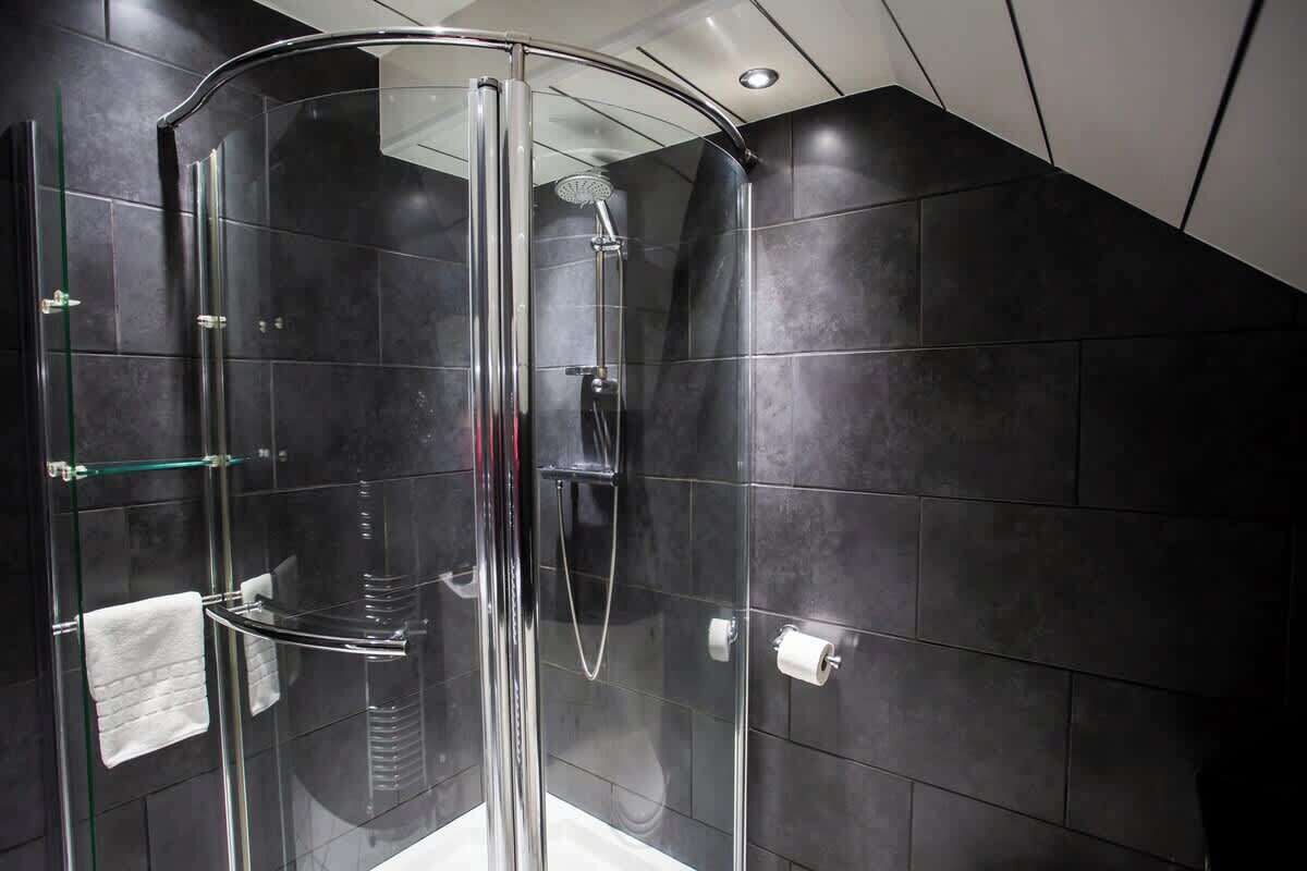 Shower, hair dryer, shampoo
