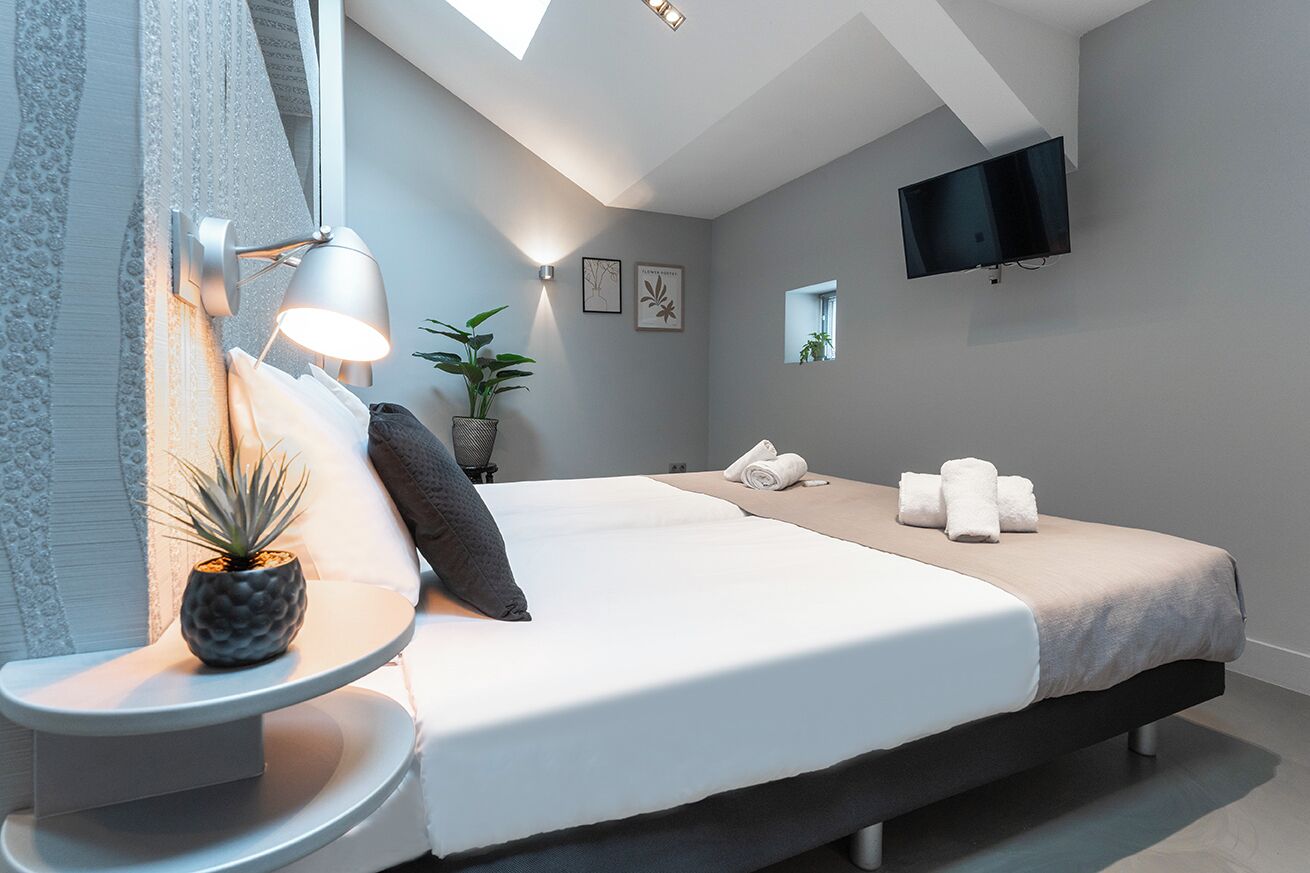 Une chambre moderne avec un lit, une table de chevet, une lampe, une plante en pot et un téléviseur fixé au mur.