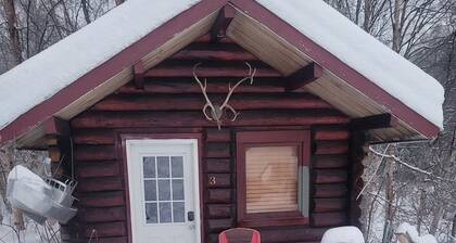 Alaskan Cabin near Girdwood, Aleyska, and Anchorage