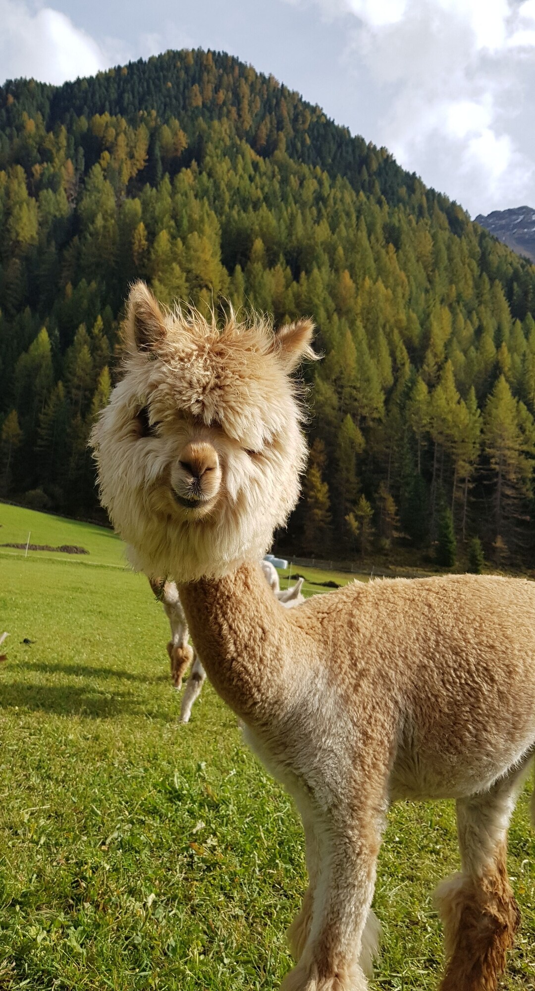 オーナーのプロフィール画像