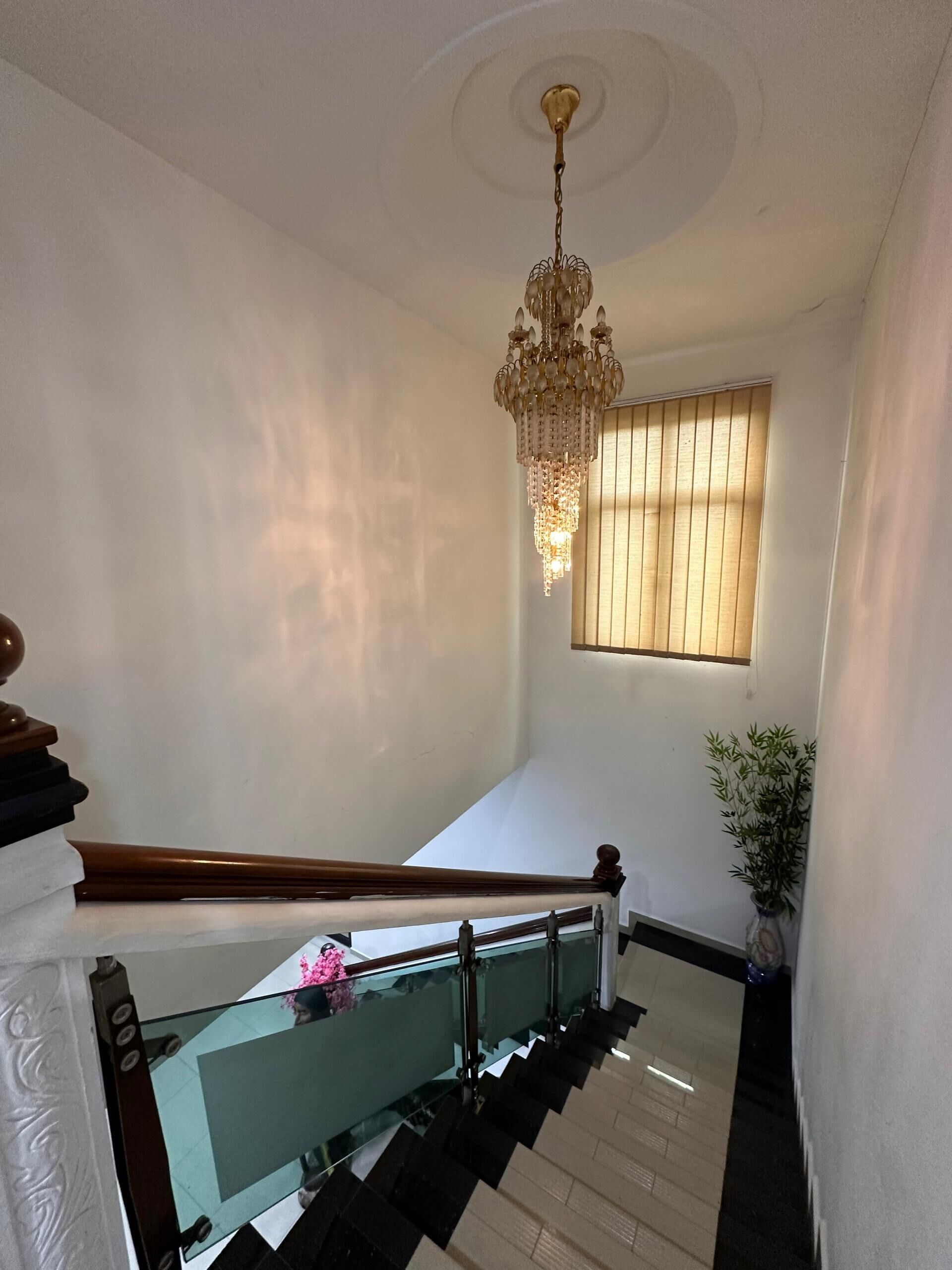 Uma escadaria com corrimão de madeira, guarda-corpo de vidro e um candelabro.