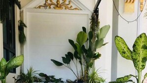 Disposición de plantas en macetas en un patio, con una maceta de terracota grande y lirios acuáticos al frente.