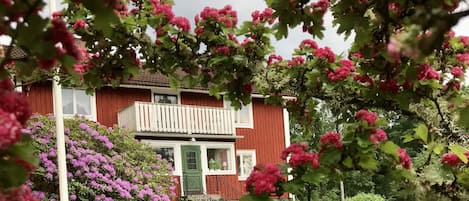 Hus | Exteriör