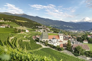 Surrounded by lush vineyards and rolling hills, this village offers a serene and picturesque setting.