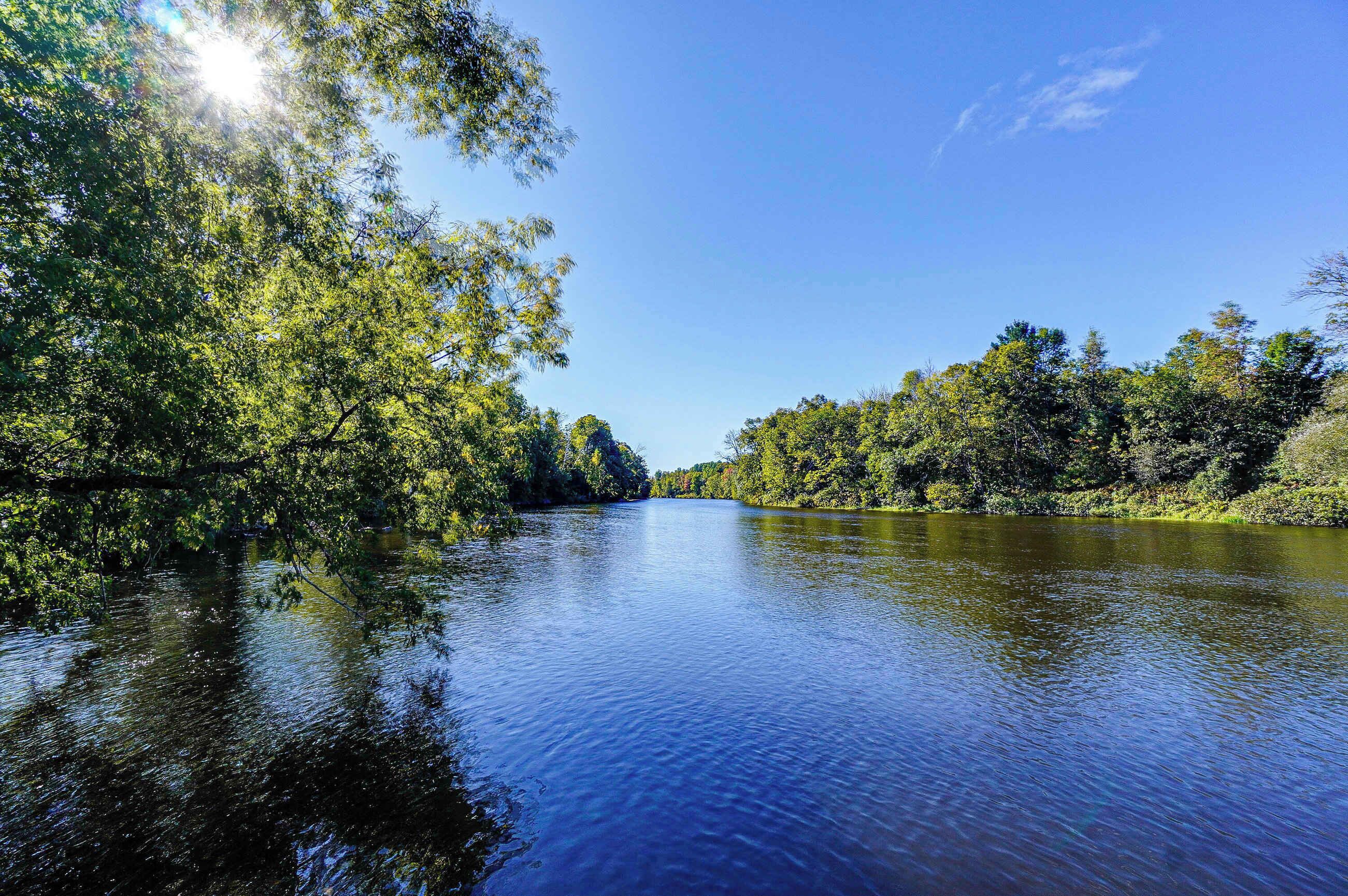 Un río tranquilo rodeado de árboles frondosos bajo un cielo despejado.
