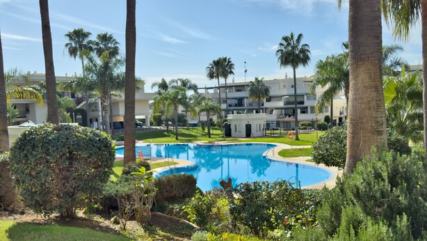 A swimming pool surrounded by palm trees and greenery, with a building in the background.