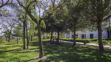 Área da propriedade