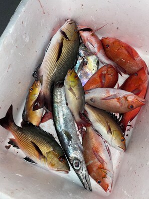 釣魚