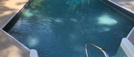 Appartement | 1 chambre