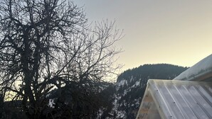 Una cabaña de madera con techo metálico, rodeada de nieve y un gran árbol.