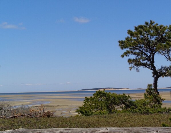 Beach - Quiet, cozy home in the woods CS0038 (Wellfleet)