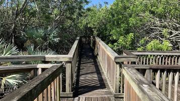 Apartment | 3 bedrooms