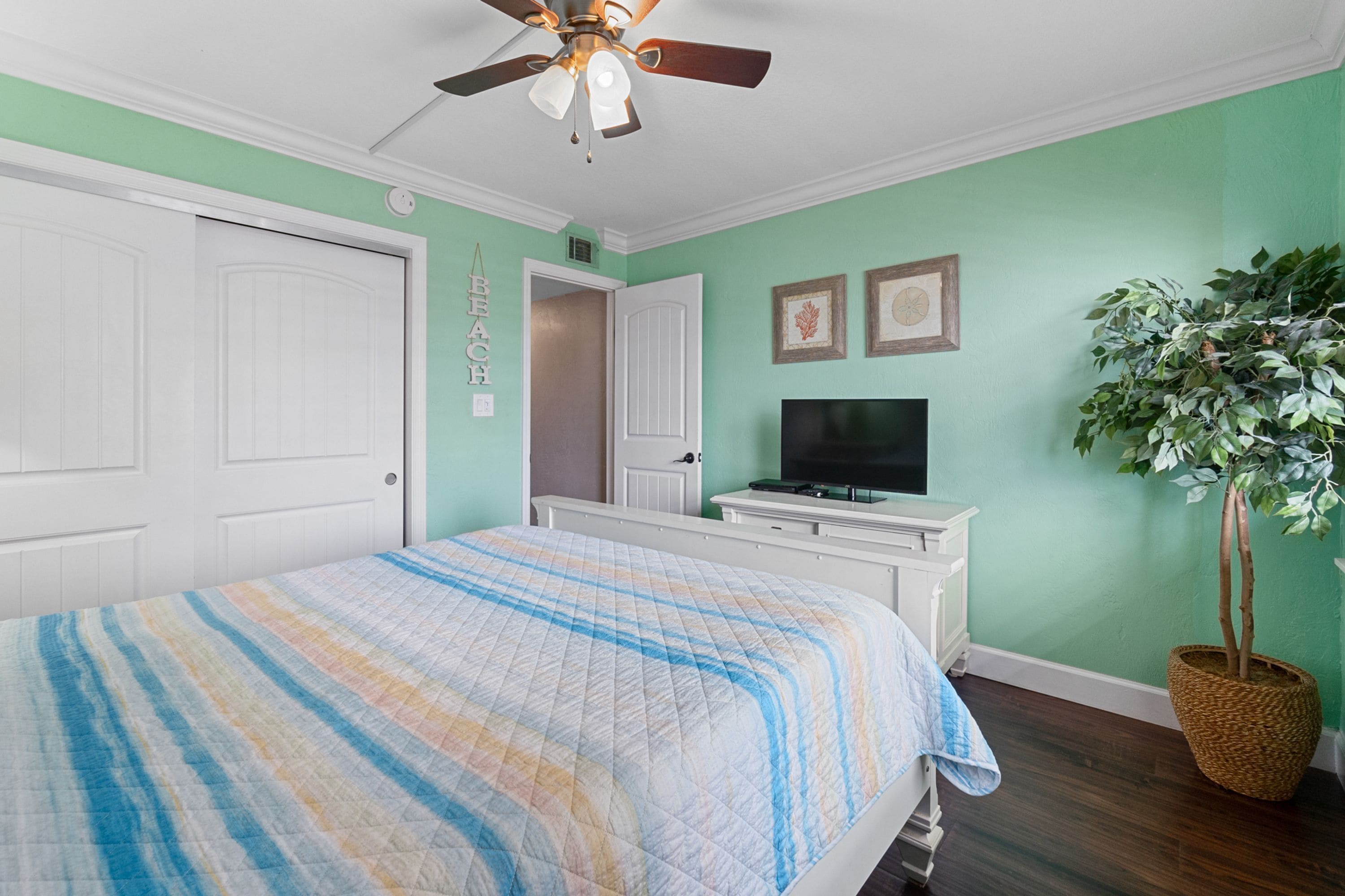 A bedroom with a bed, a ceiling fan, a television, a plant, and a door.