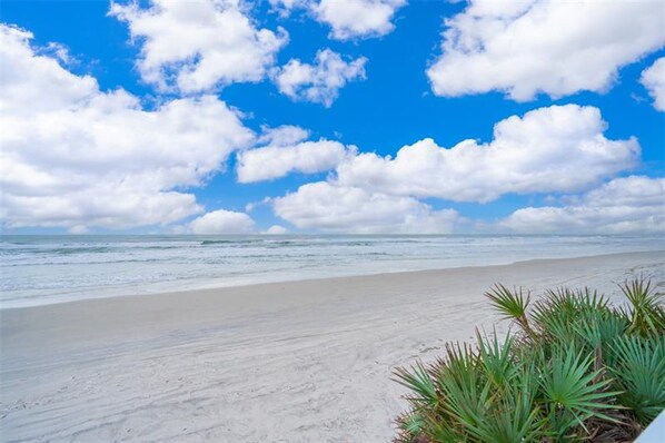 Apartment, Accessible - Beach View Oceanfront Condo in Ponce Inlet FL (Ponce Inlet)
