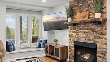 TV, fireplace, books, offices