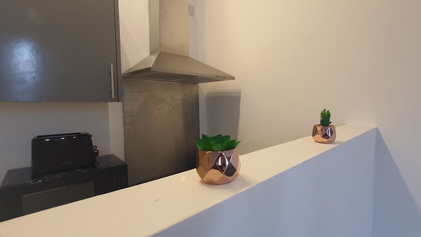 A kitchen with a stainless steel range hood, a microwave, and two decorative pots with plants on a white countertop. - Nice Apartment in Leiceser (Leicester)
