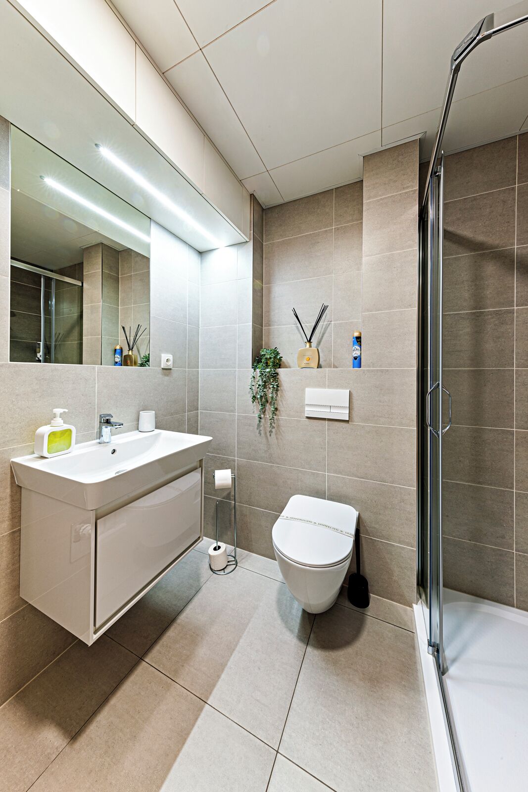 Deluxe Studio | Bathroom | Shower, hair dryer, towels, soap