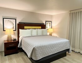 Suite | Desk, laptop workspace, blackout drapes, soundproofing