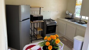 Cocina compacta con refrigerador, microondas, estufa y lavaplatos. Hay un pequeño estante y una planta en maceta con flores naranjas.