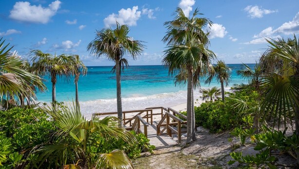 A beach with a wooden walkway leading to the shore, surrounded by palm trees and lush greenery. - Pink Sands Point Main House 4 Bedroom Home (Governor's Harbour)