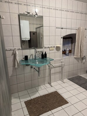 Shower, hair dryer, toilet paper