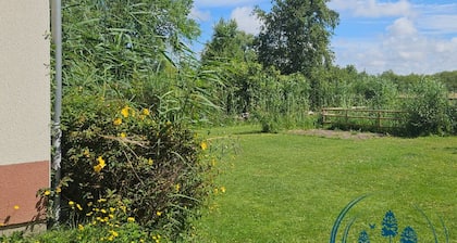 L'Amassoire