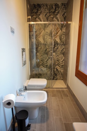 Shower, hair dryer, bidet, towels