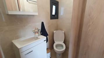 Shower, towels, toilet paper