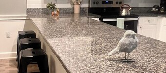 Charming 2-bedroom apartment in lovely Charlotte with WiFi, and work space.