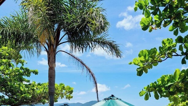 Un restaurante frente al mar con terraza, sombrillas y vistas al agua.