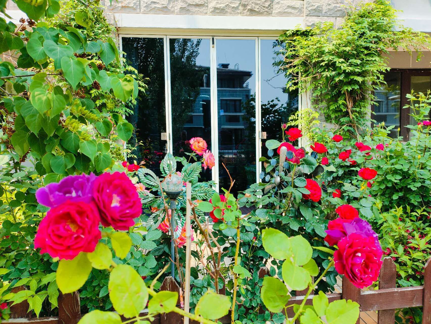 American Gardening Suite