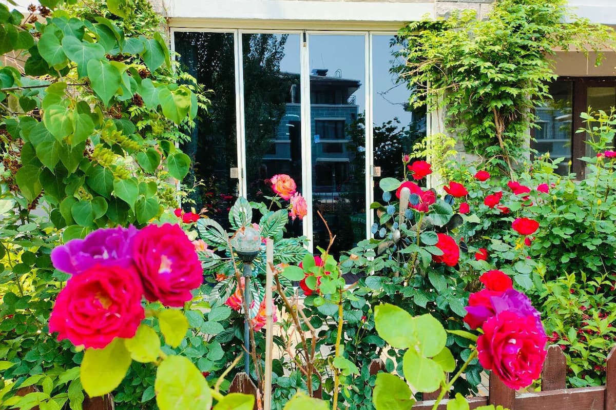 A garden with various plants and flowers, including red and pink roses, in front of a building with a large window.