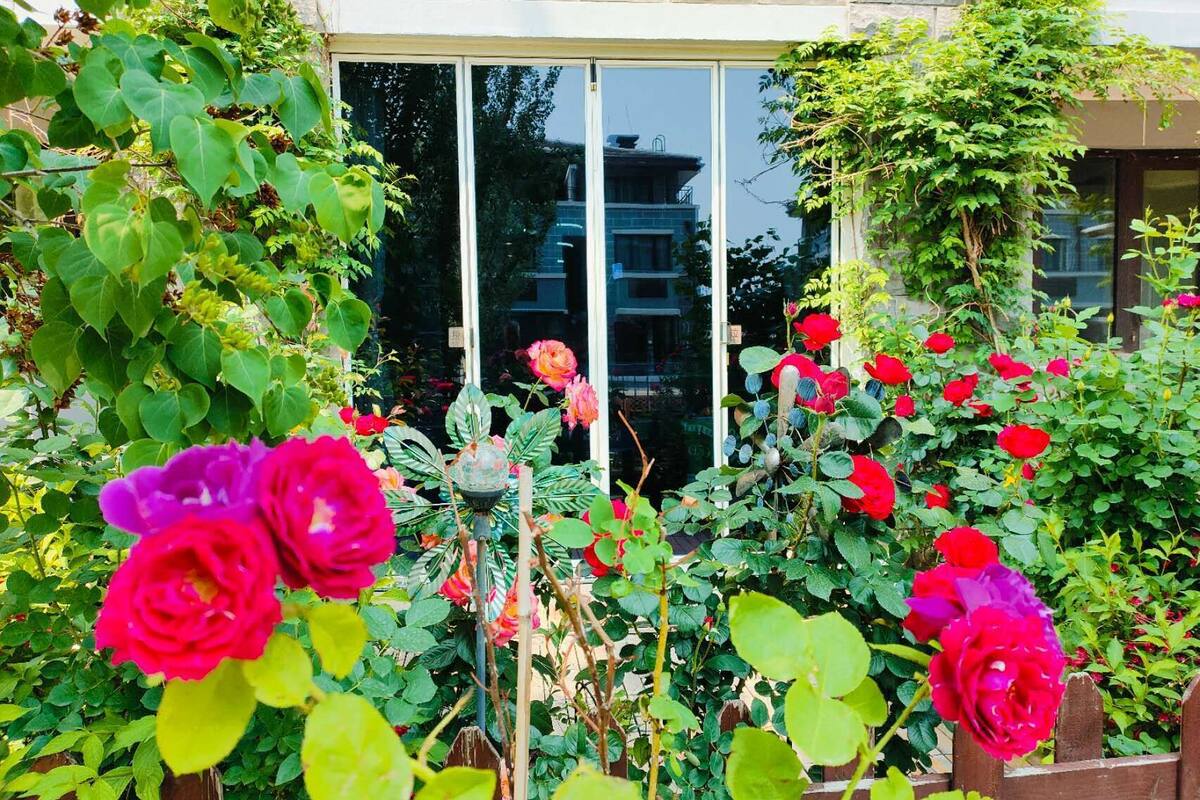 Down duvets, free minibar, free WiFi, bed sheets