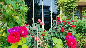 Habitación doble de lujo | Edredón, artículos del minibar gratis, wifi gratis y ropa de cama