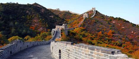 A section of the Great Wall of China with a stone pathway and watchtowers, surrounded by autumn-colored vegetation.