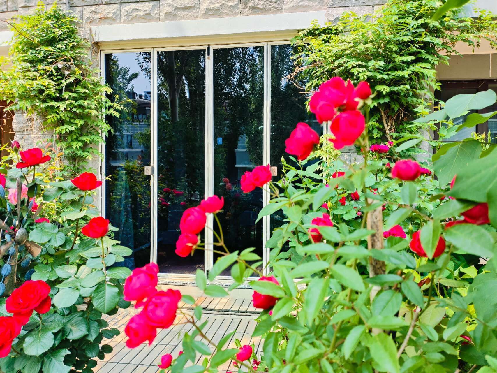 Vista frontal de la propiedad