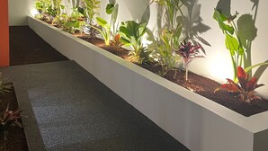 Un long bac à fleurs étroit, contenant diverses plantes, placé contre un mur blanc.