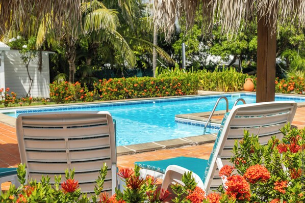 Un espace aménagé au bord de la piscine, avec des chaises longues et une piscine.