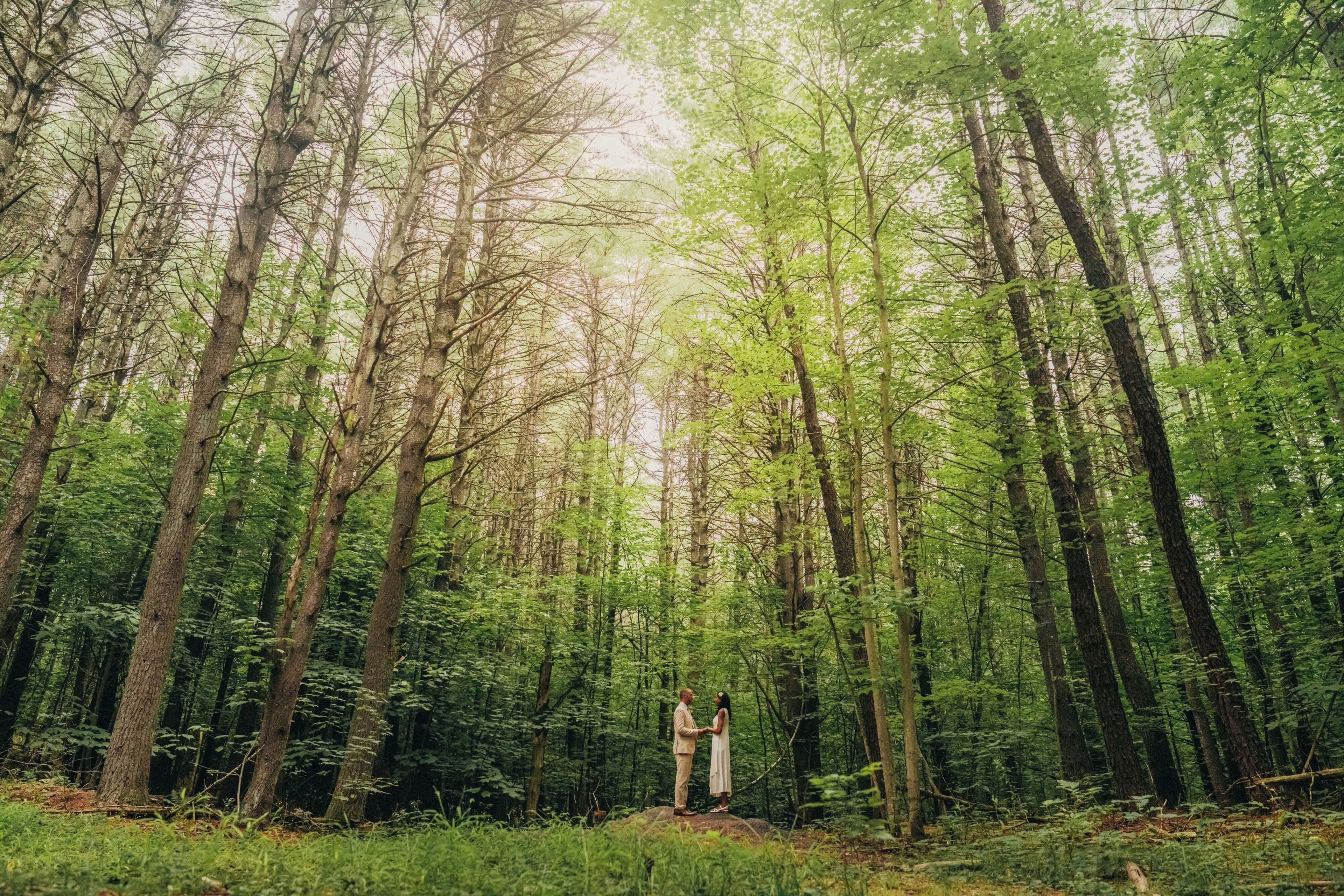 バンケット ホール