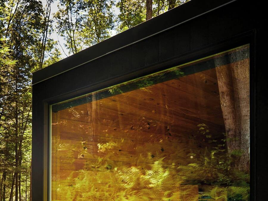 A glass enclosure with a view of a forest interior, including a bed and a small table with items.