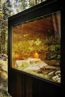 Estructura de vidrio con vista al interior de un bosque, que incluye una cama y una pequeña mesa con objetos.