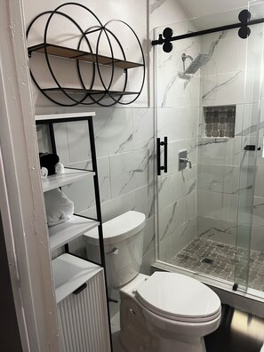 Hair dryer, towels, soap, toilet paper