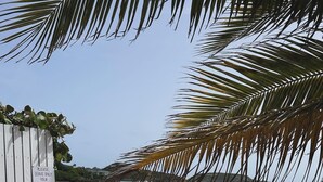 Une plage avec un bateau, un panneau en bois et un palmier.