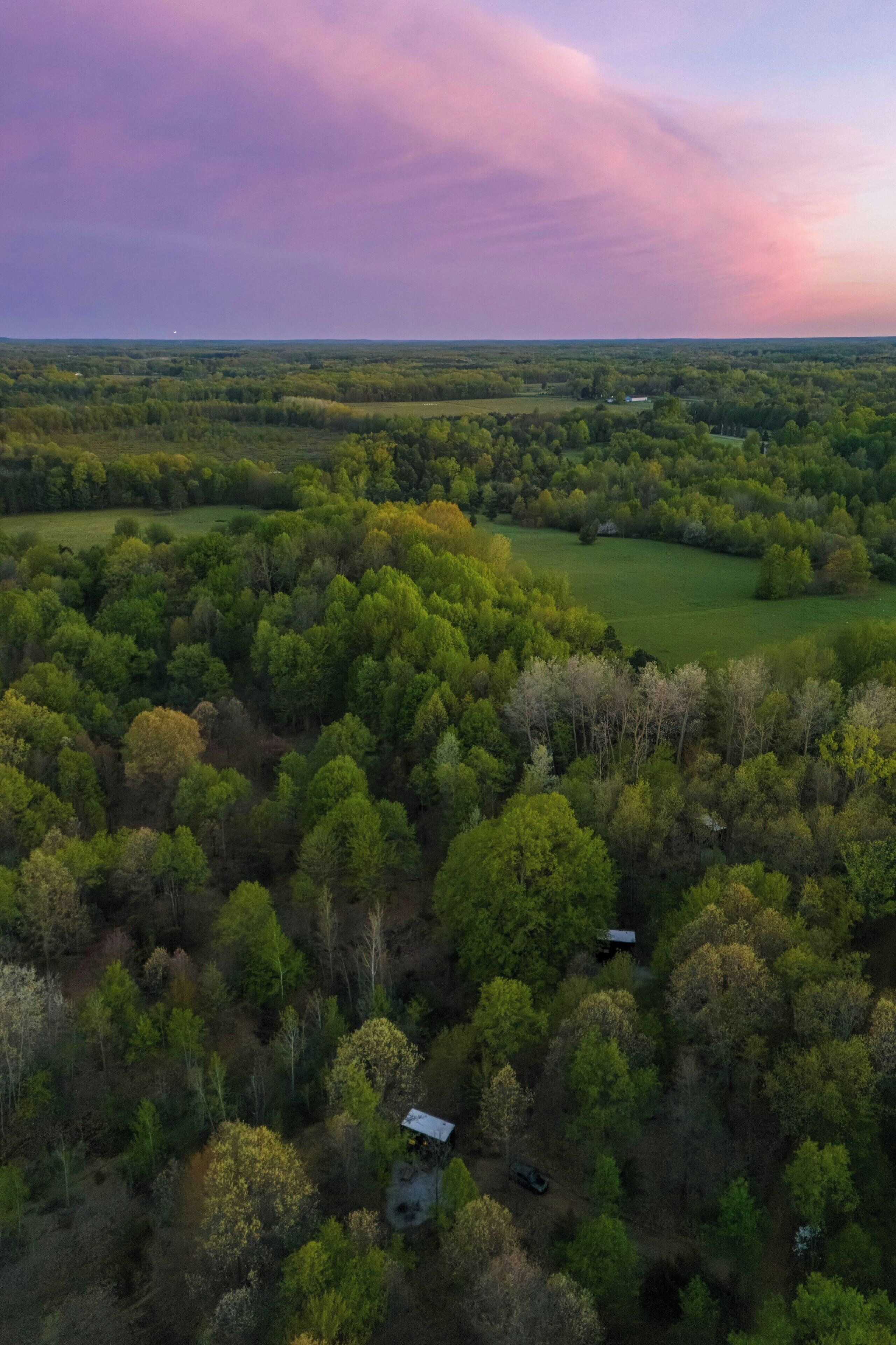 An aerial view of a forested area with a small building surrounded by trees.