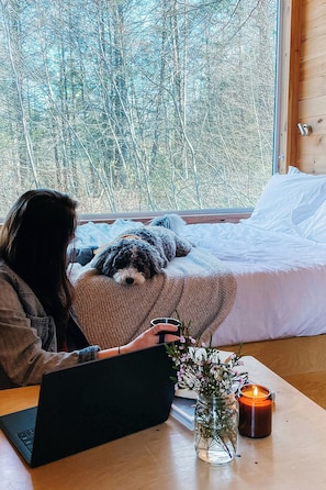 1 bedroom, desk, laptop workspace, bed sheets